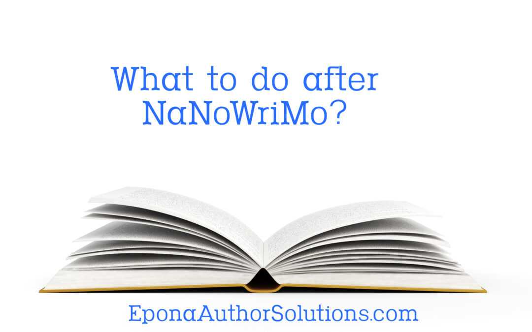 What to do after NaNoWriMo?